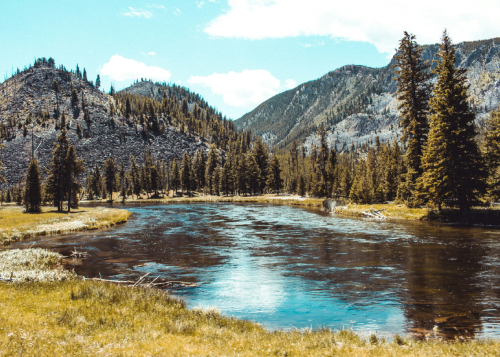 Yellowstone National Park